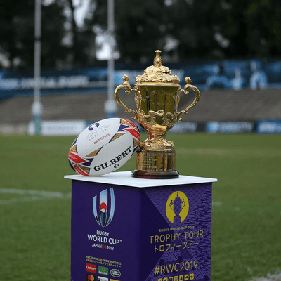 Rugby World Cup 2019 Sweepstake
