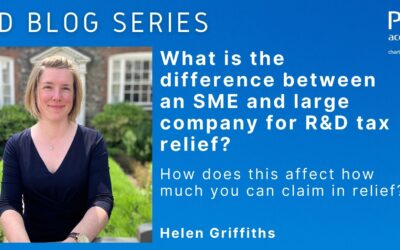 What is SME and Large Research & Development relief?