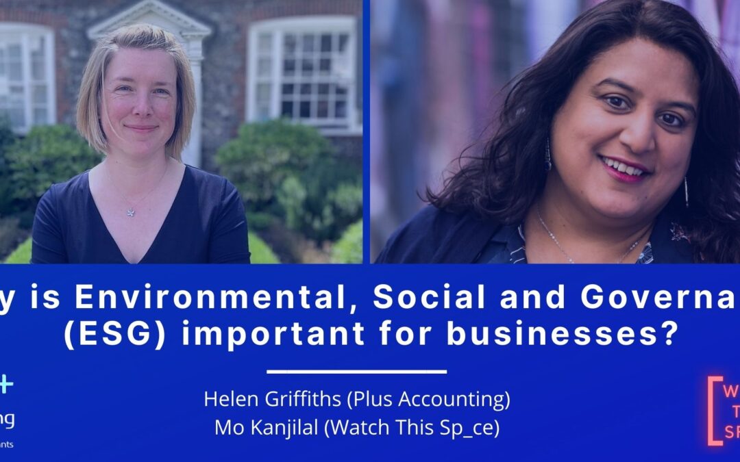Why is Environmental, Social and Governance (ESG) important for businesses?