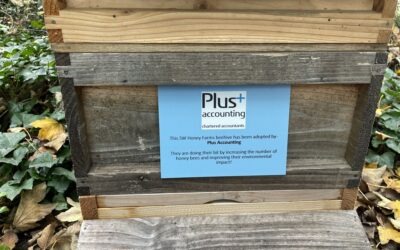 We are adopting a beehive at SW Honey Farms!